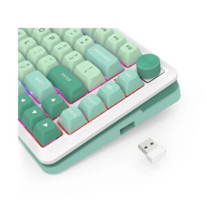 Teclado Gamer Redragon Pro Cyrus K681cgc Rgb Layout 75% Inalámbrico - Verde - Imagen 4