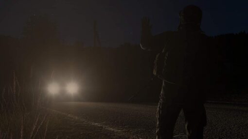 Alternative view of Juego Dayz Para Ps4
