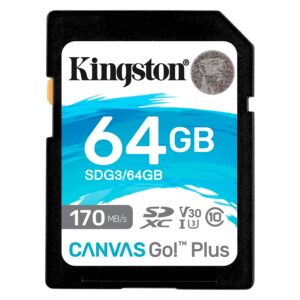 Tarjeta De Memoria Sd Kingston Canvas Go Plus 64gb 170mbs - Sdg3/64gb
