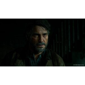 Juego The Last Of Us Parte 2 Para Ps4 - Imagen 3