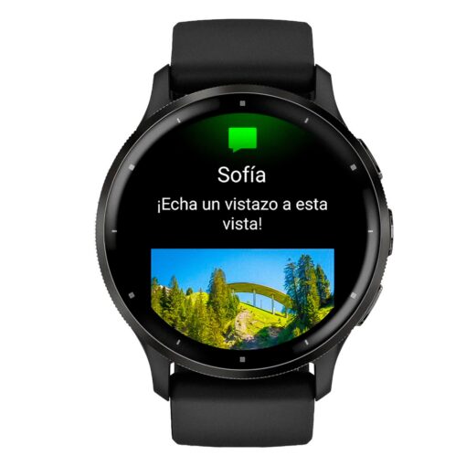 Alternative view of Smartwatch Garmin Venu 3 010-02784-01 Black