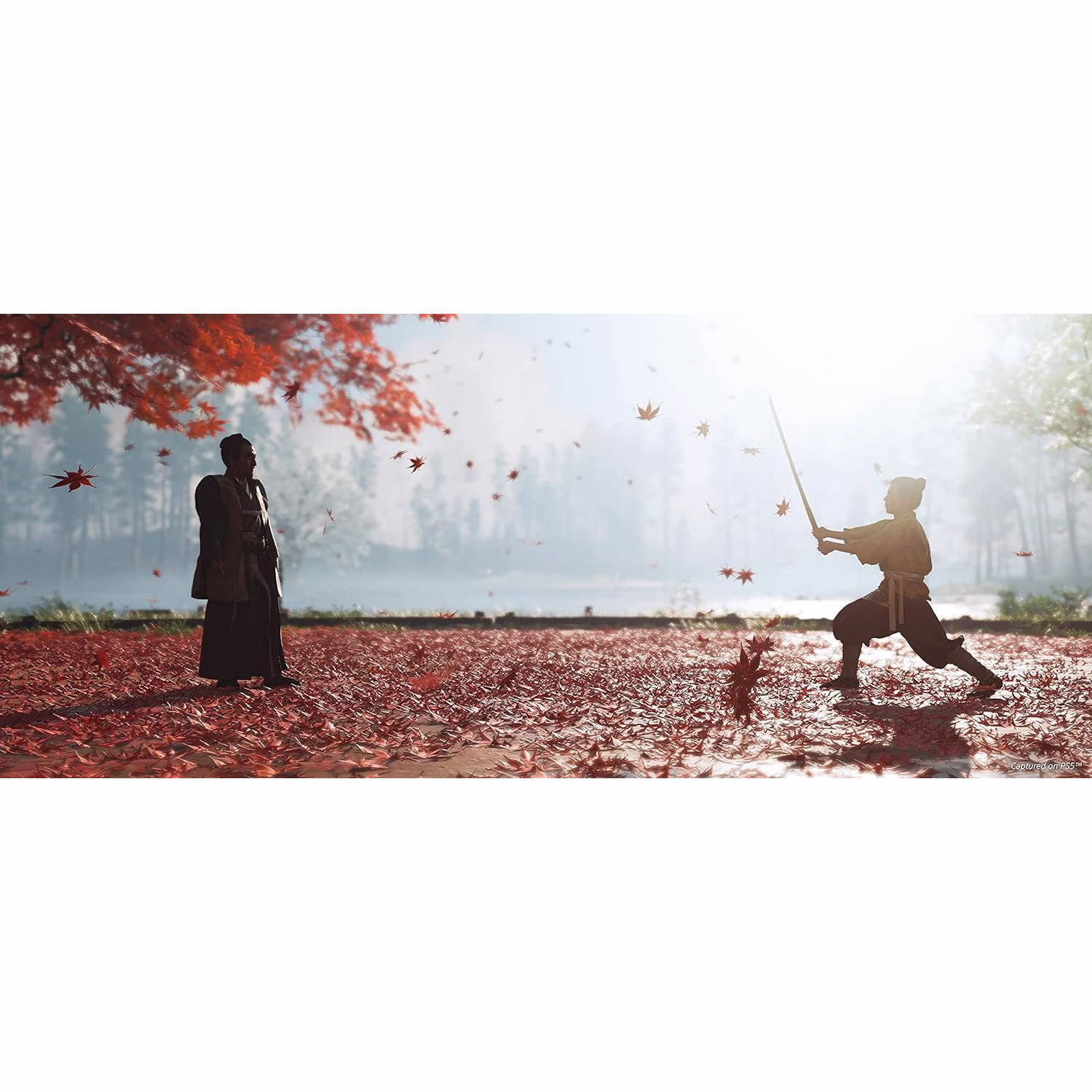Alternative view of Ps4 Ghost Of Tsushima: Director's Cut