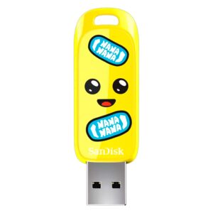 Pendrive 64gb Sandisk Sdczif-064g-g46