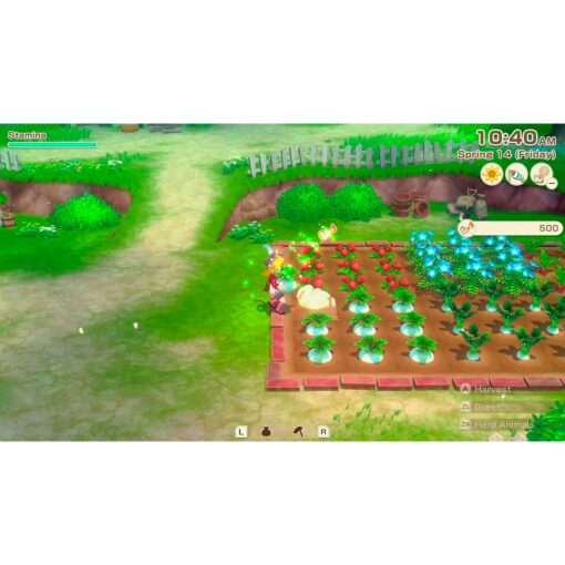 Alternative view of Juego Nintendo Switch 2 Story Of Seasons Grand Bazaar Premium Edition