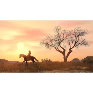 Juego Red Dead Redemption Para Ps4 - Imagen 3