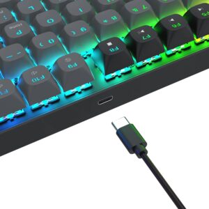 Teclado Gamer Redragon Dharma K740BG RGB USB-C - Negro Y Verde - Imagen 4