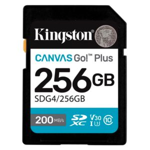 Tarjeta De Memoria SD Kingston Canvas Go Plus 256GB 200Mbs - SDG4/256GB