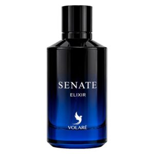 Perfume Volaré Senate Elixir Eau De Parfum Masculino 100ml - Imagen 2