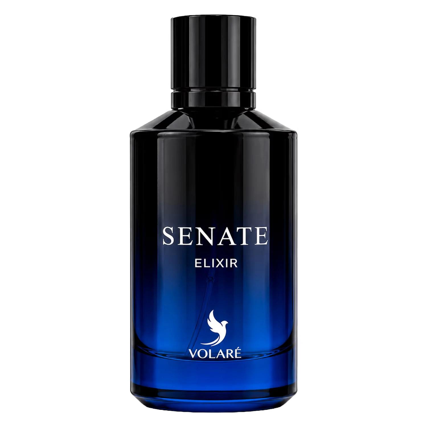 Perfume Volaré Senate Elixir Eau De Parfum Masculino 100ml - Imagen 2