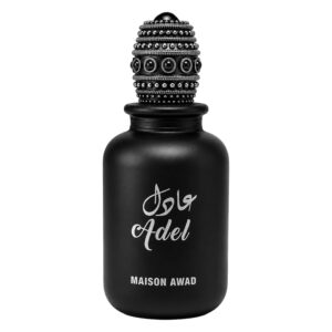 Perfume Maison Awad Adel Eau De Parfum Masculino 100ml - Imagen 2