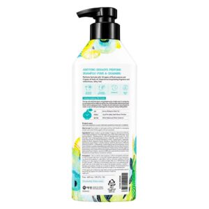 Shampoo Kerasys Pure & Charming 600ml - Imagen 2