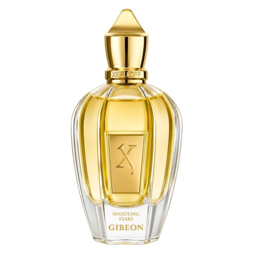 Alternative view of Perfume Xerjoff Gibeon Parfum Unisex 50ml - (tester)
