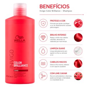 Shampoo Wella Professionals Invigo Color Brilliance Coarse 500ml - Imagen 2