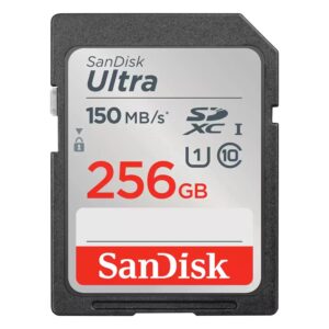 Tarjeta De Memoria SD SanDisk Ultra Go 256GB 150Mbs - SDSDUGN-256G-GN6IN