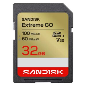 Tarjeta De Memoria SD SanDisk Extreme Go 32GB 100Mbs - SDSDXGN-032G-GNCIN