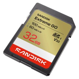 Tarjeta De Memoria SD SanDisk Extreme Go 32GB 100Mbs - SDSDXGN-032G-GNCIN - Imagen 3