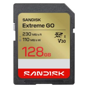 Tarjeta De Memoria SD SanDisk Extreme Go 128GB 230Mbs - SDSDXGN-128G-GNCIN