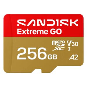 Tarjeta De Memoria Micro SD SanDisk Extreme GO 256GB 240Mbs - SDSQXGN-256G-GN6MN