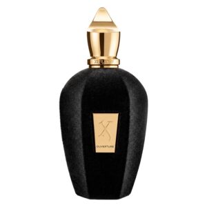 Perfume Xerjoff Ouverture Eau De Parfum Unisex 100ml - Imagen 2