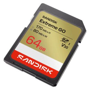 Tarjeta De Memoria SD SanDisk Extreme Go 64GB 170Mbs - SDSDXGN-064G-GNCIN - Imagen 2