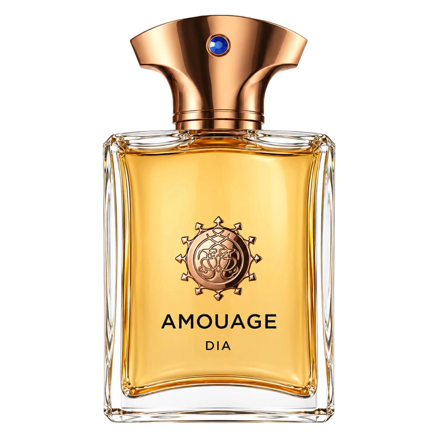 PERFUME AMOUAGE Día MEN EDP 100ML - Imagen 2