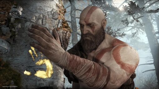 Alternative view of God Of War Para Ps4 (en Inglés)