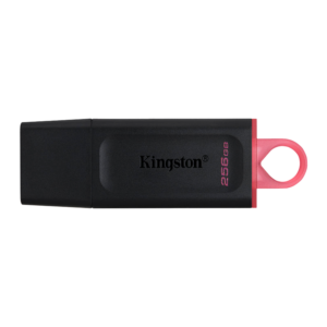 Unidad Flash Usb 3.2 Datatraveler Exodia De 256 Gb De Kingston: Dtx/256 Gb