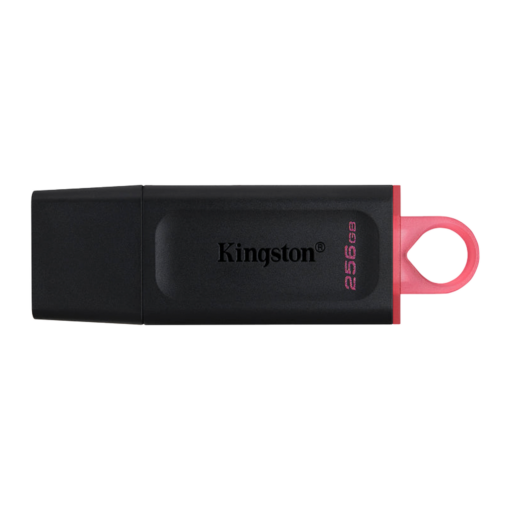 Unidad Flash Usb 3.2 Datatraveler Exodia De 256 Gb De Kingston: Dtx/256 Gb