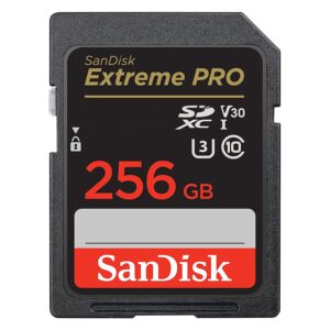 Tarjeta De Memoria Sd Sandisk Extreme Pro De 256 Gb Y 200 Mb: Sdsdxxd-256g-gn4in