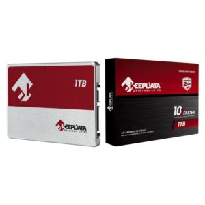 Ssd Keepdata De 1 Tb Y 2,5" Sata 3.0 - Kds1t-l21