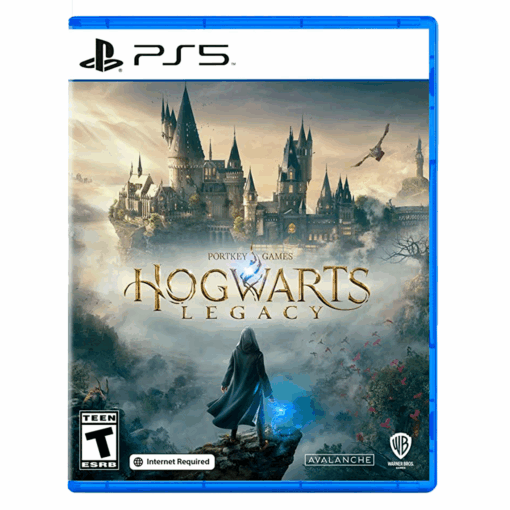 Juego De Ps5 Hogwarts Legacy