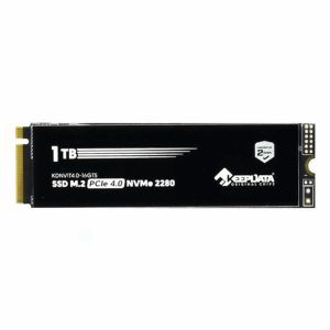 Ssd M.2 De 1 Tb Con Nvme Y Pcie 4.0 De Keepdata - Kdnv1t4.0-16gts